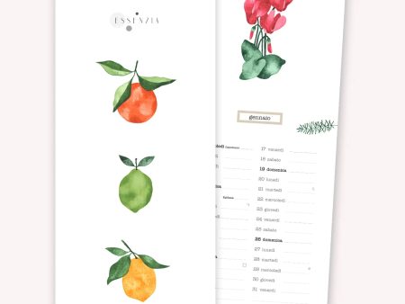 Calendario Essenzia 2026 16,5x45 Akena